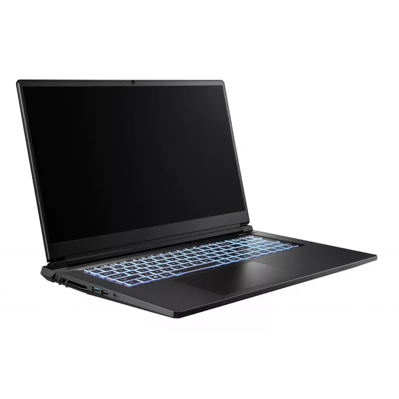 Captiva Highend Gaming I94-374GE Laptop, 17,3 Zoll, Intel Core i7-13620H, 32GB, 2TB SSD, GeForce RTX 5070 8GB, Windows 11 Home
