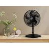 Noveen F535 X-Line 2-in-1 Stand- und Tischventilator, 40 cm, schwarz