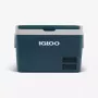 Kühlbox Igloo ICF 60 62L -18 bis -20 °C