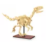 Bausatz Jamara CaDA Dinosaurier-Fossil Velociraptor — 256 Teile, Alter 8+, Beige/Braun