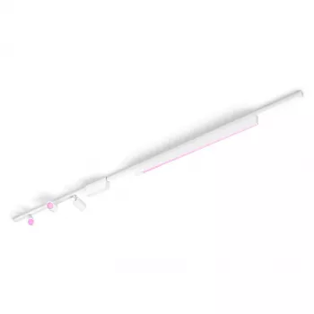 Decken-Smart-Lighting-Kit Philips Hue Perifo gerade (3 verstellbare Spots, 1 Lichtbalken) Bluetooth, Weiß, 220–240 V, 24-V-Leuchtmittel