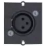 Bachmann - Modulares Faceplate-Snap-In - 3 PIN XLR - Schwarz