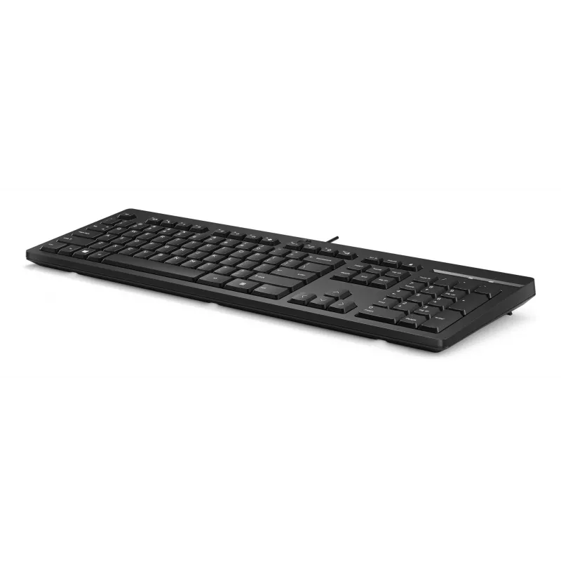 HP 125 Kabelgebundene Tastatur Full-Size USB Membran Schwarz