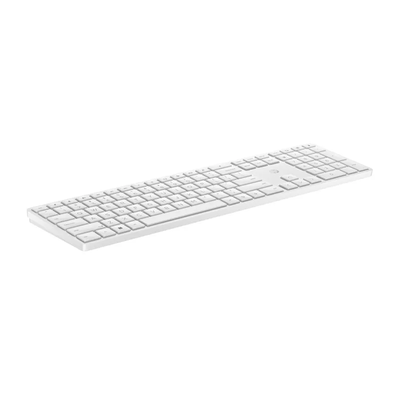 HP 450 Programmierbare kabellose Tastatur Full-Size RF Wireless USB Schwarz