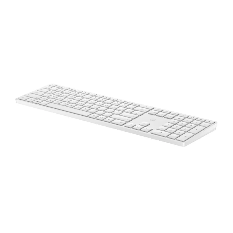 HP 450 Programmierbare kabellose Tastatur Full-Size RF Wireless USB Schwarz