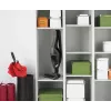 Gorenje SVC216FGD 2-in-1-Stabstaubsauger Batterie Trocken HEPA Schwarz