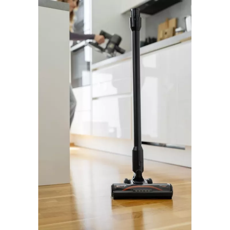 Gorenje SVC222480AA 2-in-1-Akkustaubsauger Batterie Trocken Beutellos 0,701 l 250 W Schwarz