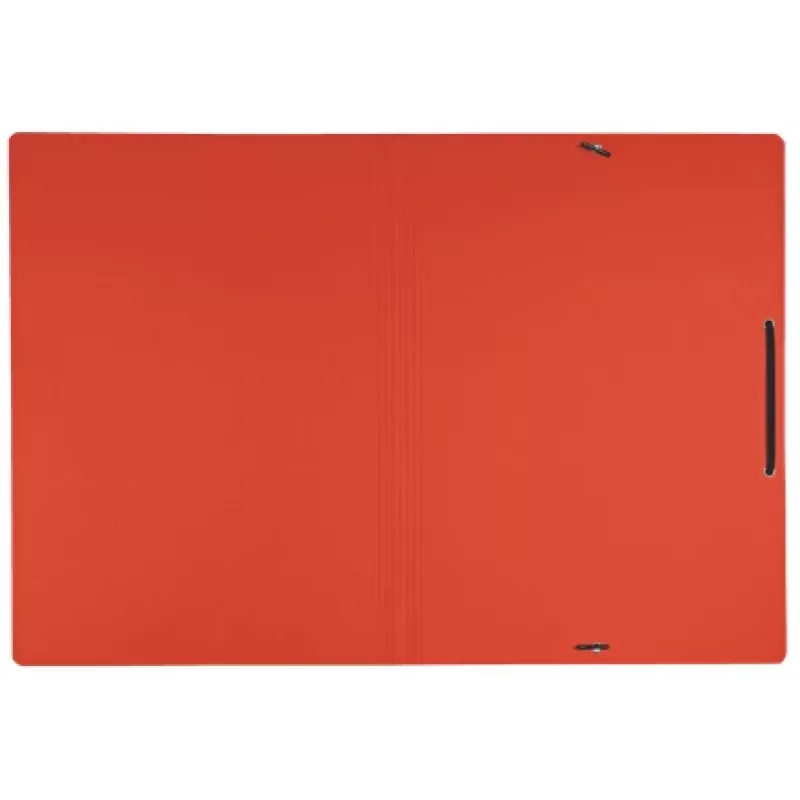 Leitz Recycle Kartonmappe mit Gummizügen, herkömmliche Mappe, A4, Karton, Rot, Quer-/Hochformat, 250 Blatt