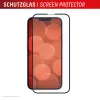 Displex Premium Schutzglas aus gehärtetem Glas (Full Abdeckung, 10H) für Apple iPhone 16e/17e