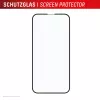 Displex Premium Schutzglas aus gehärtetem Glas (Full Abdeckung, 10H) für Apple iPhone 16e/17e