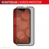 Privacy Panzerglas Displayschutz e.v.i. Displex (10H) für Apple iPhone 16e/17e mit Sichtschutzfilter, stoß- und kratzfest