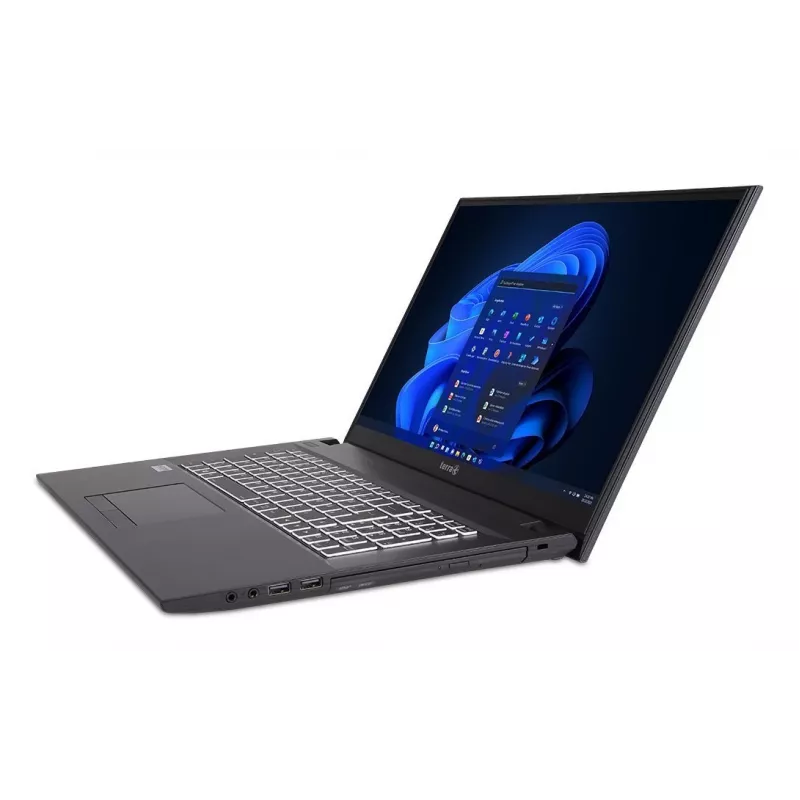 TERRA 1716R Intel® Core™ i3 i3-1315U Laptop 43.9 cm (17.3 Zoll) Full HD 8 GB DDR4-SDRAM 500 GB SSD Wi-Fi 6 (802.11ax) Windows 11 Home Grau