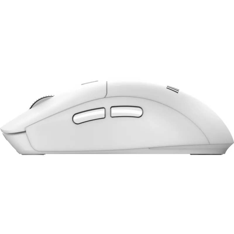 MSI FORGE K210 W COMBO WHITE US Tastatur Maus inklusive Home/Office USB QWERTY US English