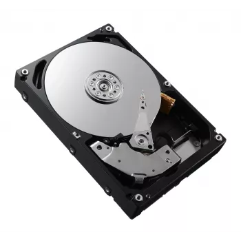 DELL 161-BCFV interne Festplatte 2,4 TB 10000 U/min 2,5 Zoll SAS