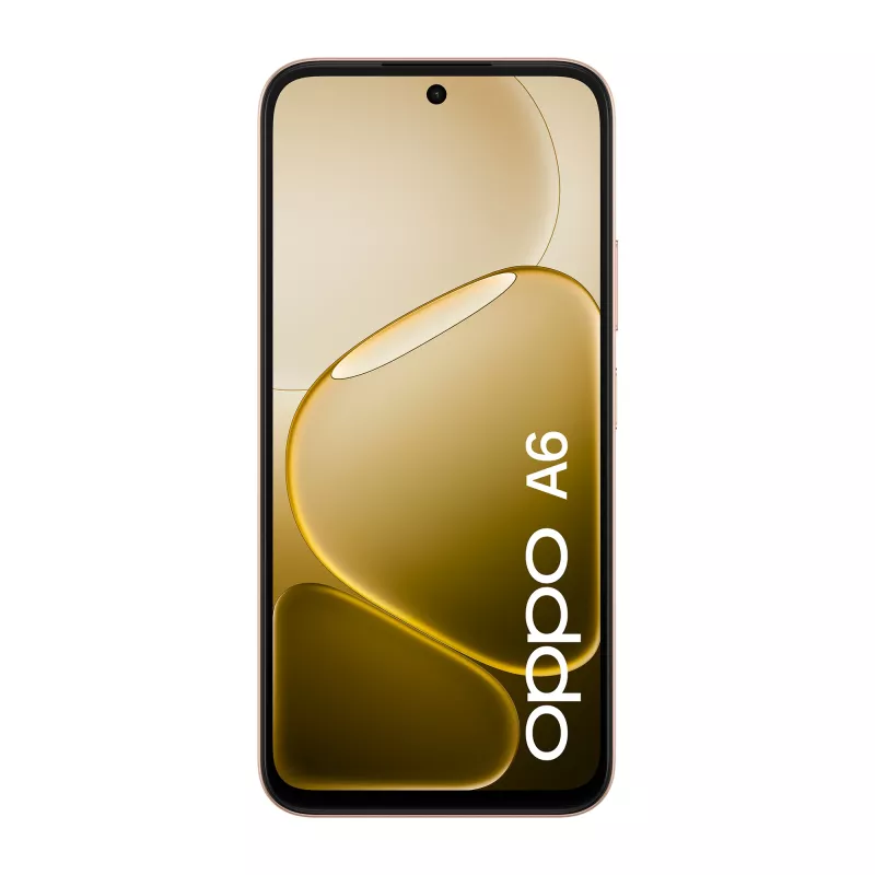 OPPO A6 17,1 cm (6,75 Zoll) Dual-SIM Android 15 4G USB Typ-C 6 GB 256 GB 6550 mAh Gold