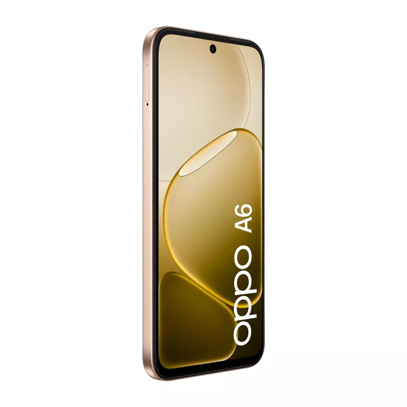 OPPO A6 17,1 cm (6,75 Zoll) Dual-SIM Android 15 4G USB Typ-C 6 GB 256 GB 6550 mAh Gold