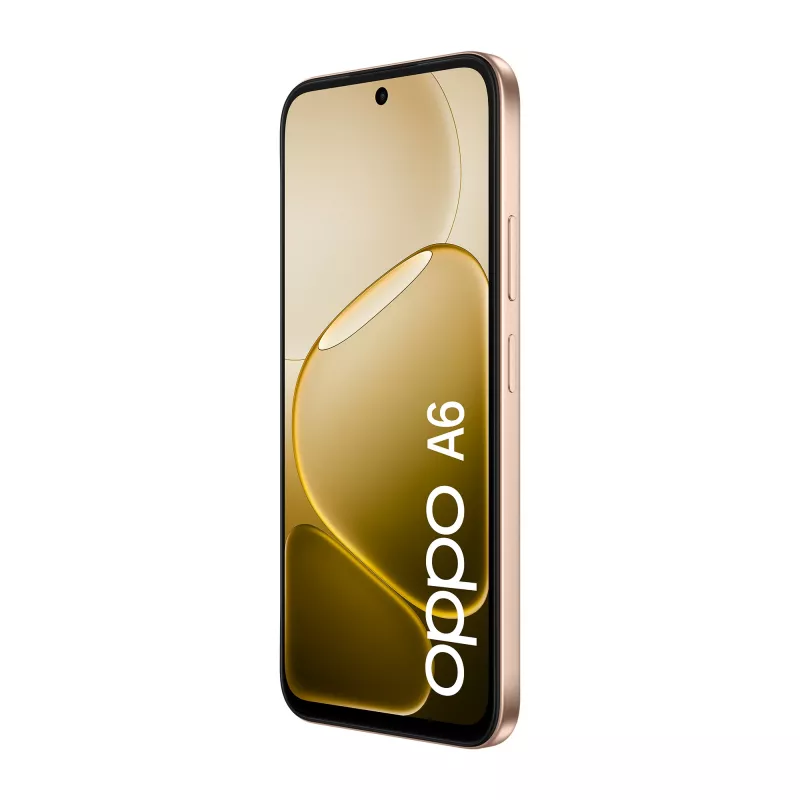 OPPO A6 17,1 cm (6,75 Zoll) Dual-SIM Android 15 4G USB Typ-C 6 GB 256 GB 6550 mAh Gold