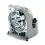 Viewsonic RLC-079 Projektorlampe