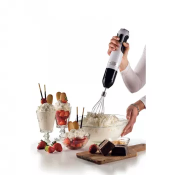 Ariete 602 Moderna Stabmixer, 1000 W, 10 Geschwindigkeitsstufen + Turbo, Zubehör inklusive, Weiß