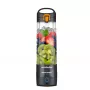NutriBullet NBP003GO-MC 0,59 L Tragbarer Mixer Grau