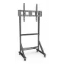 Techly ICA-TR7412 TV-Ständer/Stativ 2,54 m (100 Zoll) Schwarz