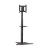 Chief PF1UB Monitorhalterung / Ständer 190,5 cm (75 Zoll) Boden Schwarz