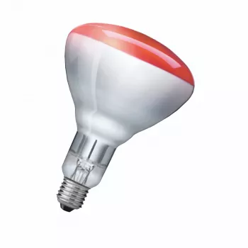 Infrarotlampe Philips 923212043801 250 W 5000 h 230-250 V