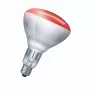 Infrarotlampe Philips 923212043801 250 W 5000 h 230-250 V