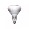 Infrarotlampe Philips 57522725 150 W 5000 h 230-250 V