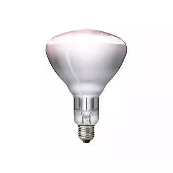Infrarotlampe Philips 57522725 150 W 5000 h 230-250 V