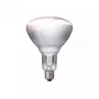Infrarotlampe Philips 57522725 150 W 5000 h 230-250 V