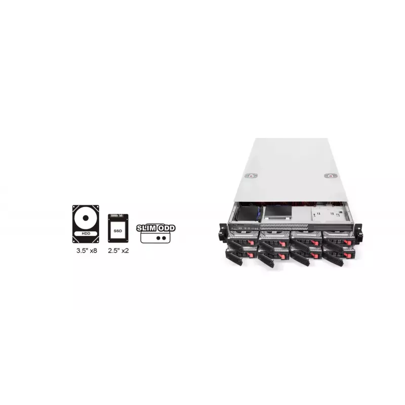 HDD-Gehäuse Silverstone RM22-308 2,5/3,5 Zoll 10 Laufwerke Schwarz Weiß