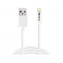 SANDBERG 440-94 SANDBERG Kabel USB>Lightning 2M Apple-zugelassen