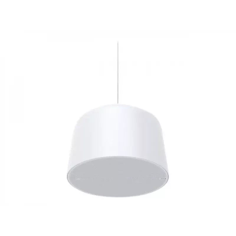 Lautsprecher AXIS C1510 (02389-001) 1-Wege kabelgebundener Lautsprecher für Sprechanlagen, 60–20000 Hz, weiß