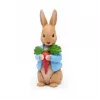 Peter Hase und seine Freunde - Geschichtensammlung, Hörspielfigur