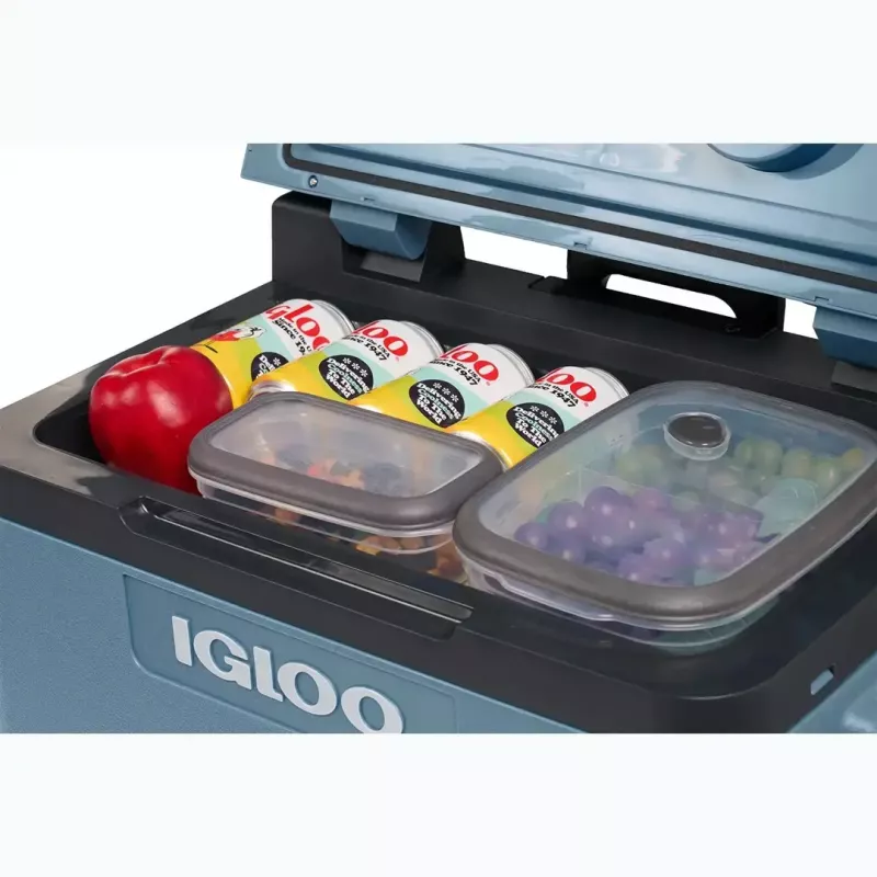 Thermoelektrische Kühlbox IGLOO IE42 – 42 qt tragbarer DC/AC-Kühler