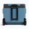Thermoelektrische Kühlbox IGLOO IE42 – 42 qt tragbarer DC/AC-Kühler