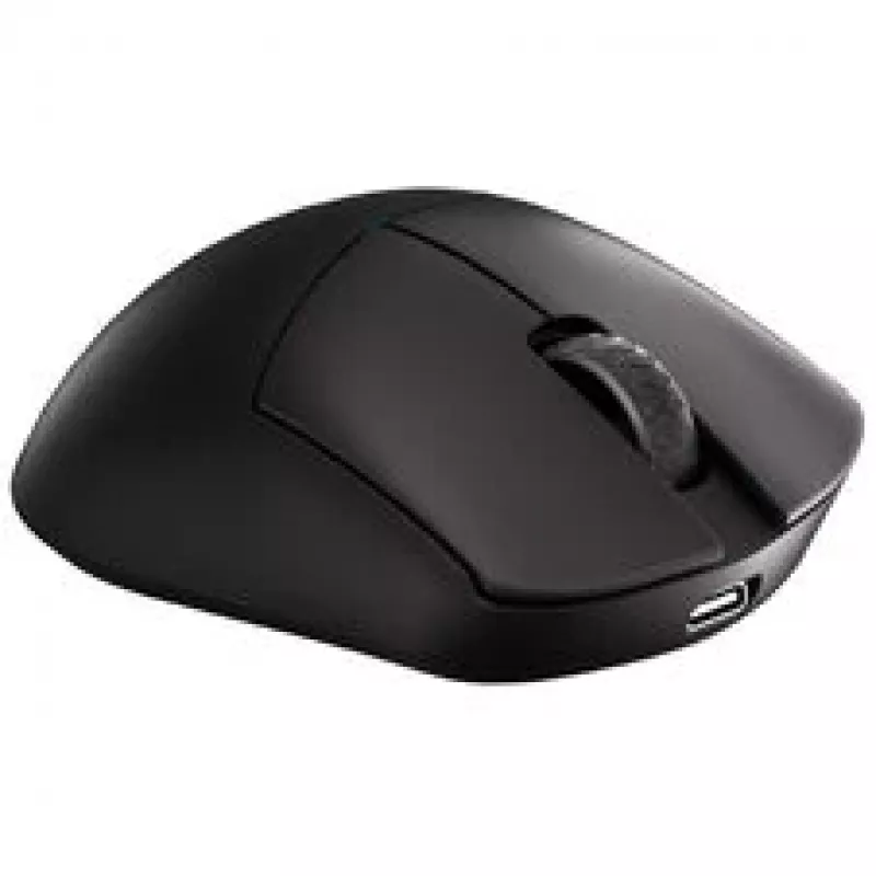 Lamzu Paro Gaming-Maus – 8 kHz Polling-Rate, 2,4 GHz Wireless, Schwarz