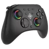 Gamepad Deltaco GAM-198 Schwarz — Bluetooth und USB (Type-C) für Nintendo Switch, Switch 2, Switch OLED, Android, PC