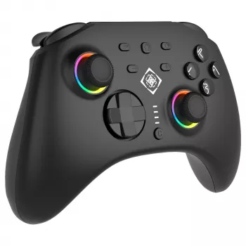 Gamepad Deltaco GAM-198 Schwarz — Bluetooth und USB (Type-C) für Nintendo Switch, Switch 2, Switch OLED, Android, PC