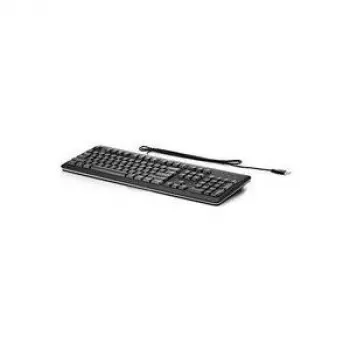 HPE Standard - Tastatur - USB - Spanisch - Silber, Carbonit - für MultiSeat t200, Compaq Business Desktop dc7700, Flexible Thin Client t510
