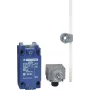 Schneider Electric Positionsschalter XCKJ10559H29 / 90276