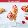 Magimix Gelato Expert Kompressor-Eismaschine, 2 L, 180 W, Edelstahl