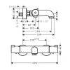 HANSGROHE Ecostat Badthermostat 1001 CL