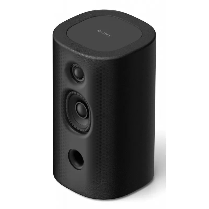 Sony SA-RS8 Schwarz Kabellos 20 W