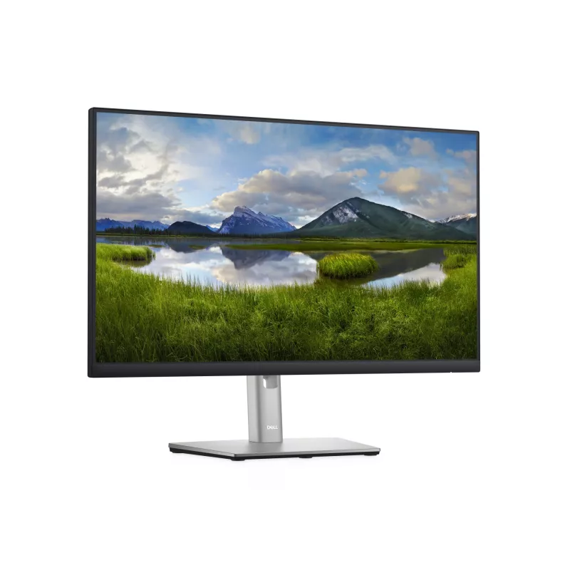 DELL P Series P2422H Computermonitor 60,5 cm (23,8 Zoll) 1920 x 1080 Pixel Full HD LCD Schwarz