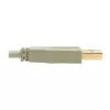 USB 2.0 A auf B Kabel Tripp Lite U022-006-BE 1,8 m Beige