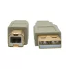 USB 2.0 A auf B Kabel Tripp Lite U022-006-BE 1,8 m Beige