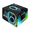 Cool Box Iceberg Thermal IceFLOE AURORA 0,355 L Elektrisch Schwarz