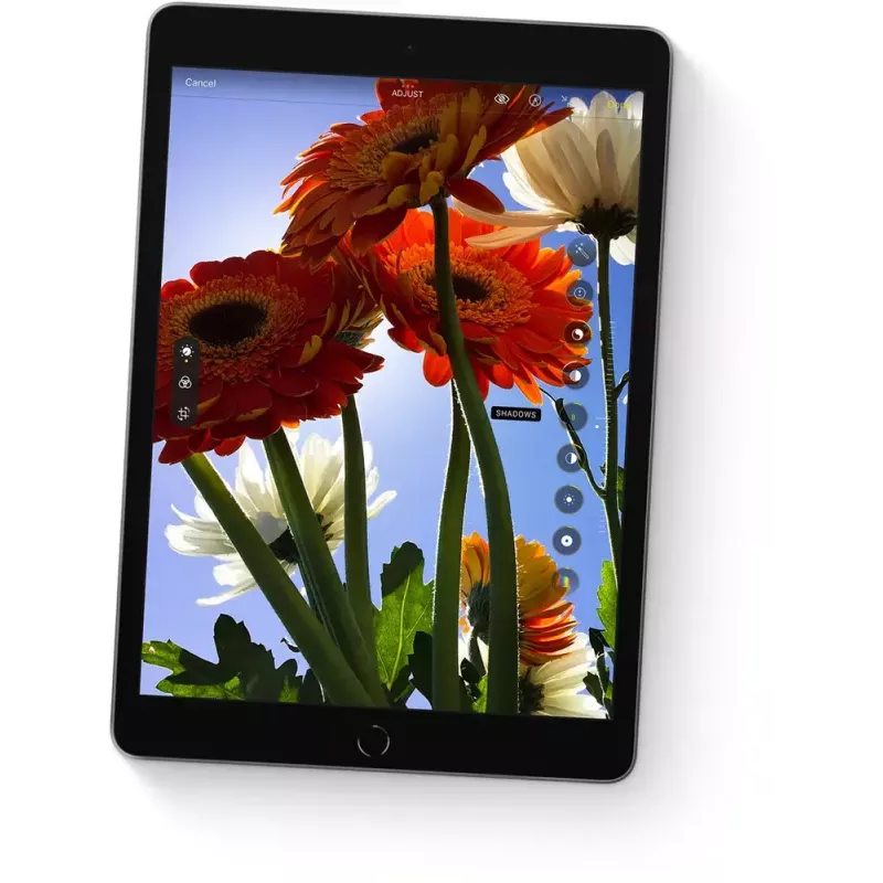 Tablet Apple iPad 10,2 Zoll (25,9 cm) 256 GB WLAN (802.11ac) A13, iPadOS 15, Grau, 8 MP/12 MP